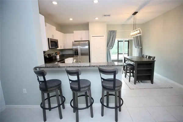 17620 NECTAR FLUME DR, Land O Lakes, FL 34638
