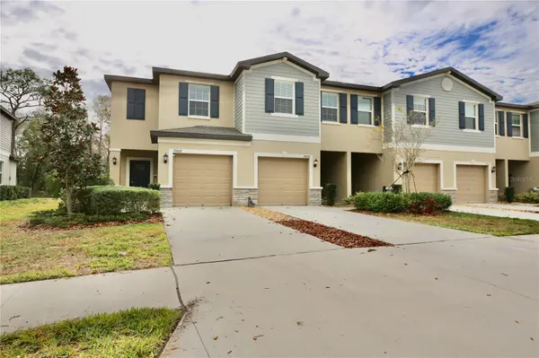 17620 NECTAR FLUME DR, Land O Lakes, FL 34638