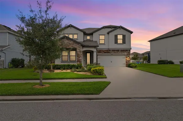 31046 PARROT REEF CT, Wesley Chapel, FL 33545