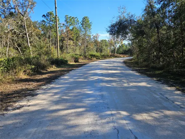 BERRYHILL DR, Webster, FL 33597