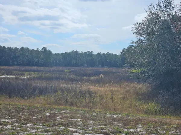 34794 ORCHID Pkwy, Dade City, FL 33523