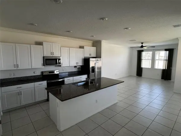 31779 BLUE PASSING LOOP, Wesley Chapel, FL 33545