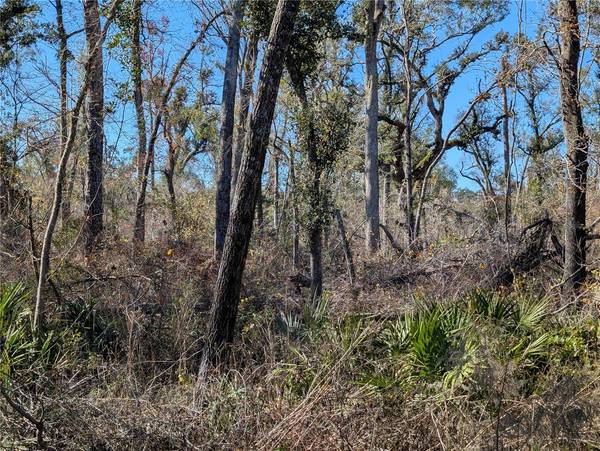 NW FOX RUN TRL #107, Mayo, FL 32066