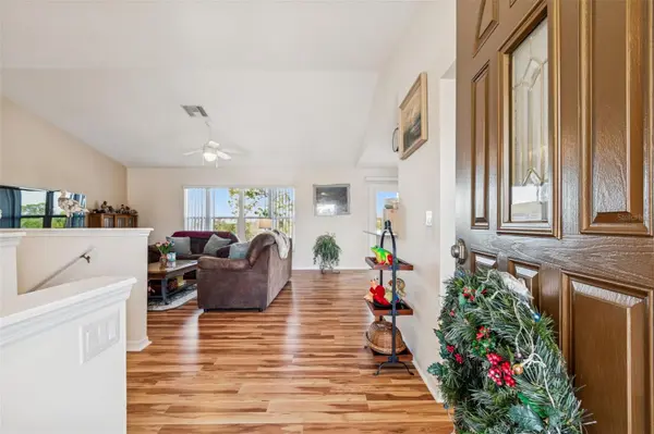 1059 S POINTE ALEXIS DR, Tarpon Springs, FL 34689