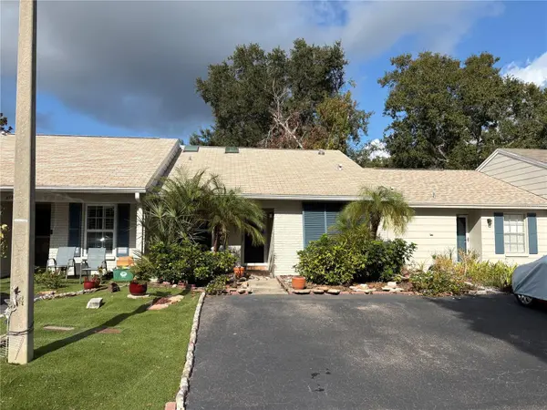 317 PLYMOUTH ST, Safety Harbor, FL 34695