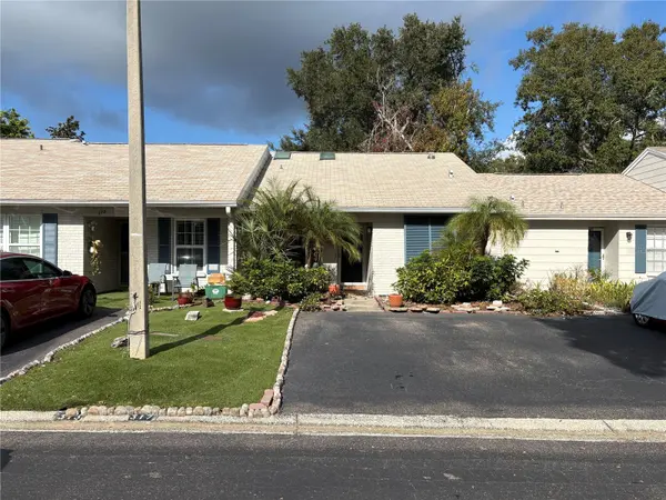 317 PLYMOUTH ST, Safety Harbor, FL 34695