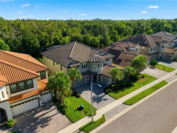 21711 AMELIA ROSE WAY, Land O Lakes, FL 34637