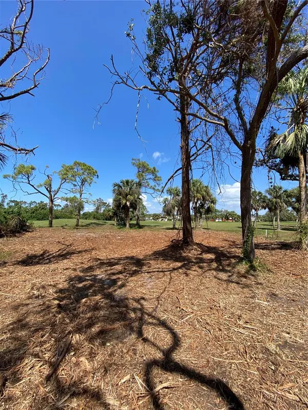 45 LONG MEADOW PL, Rotonda West, FL 33947