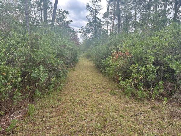 1106 GREENBRIAR DR, Christmas, FL 32709