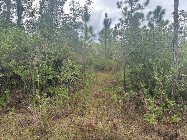 1106 GREENBRIAR DR, Christmas, FL 32709