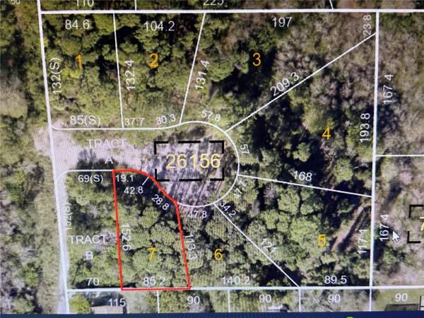 1294 ALMARIA CT, Palm Harbor, FL 34683