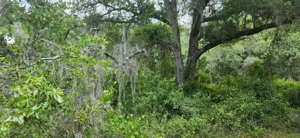 WPA RD, Brooksville, FL 34601