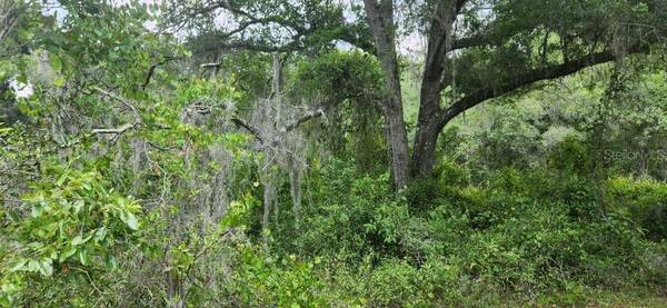 WPA RD, Brooksville, FL 34601