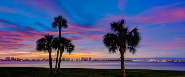50 COE RD #311, Belleair, FL 33756