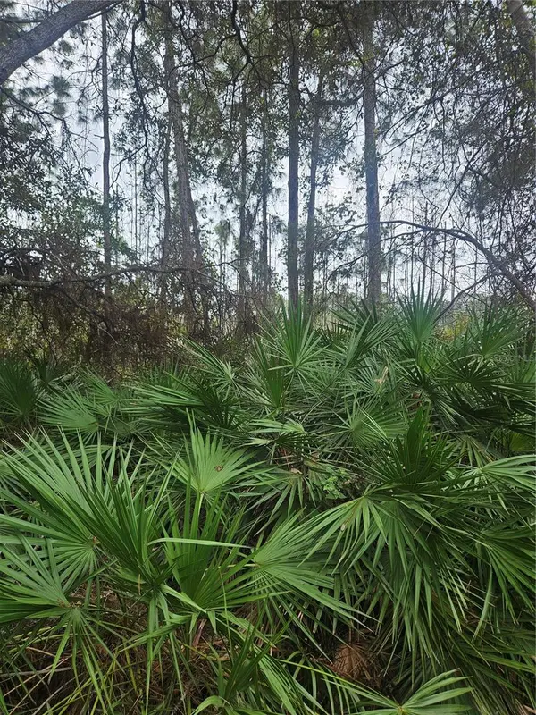 Address not disclosed, Deltona, FL 32738