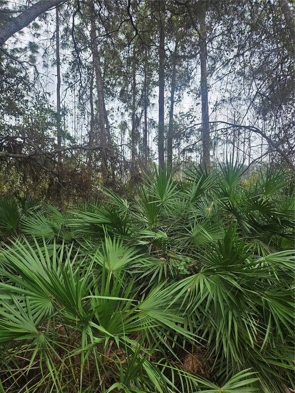 Address not disclosed, Deltona, FL 32738