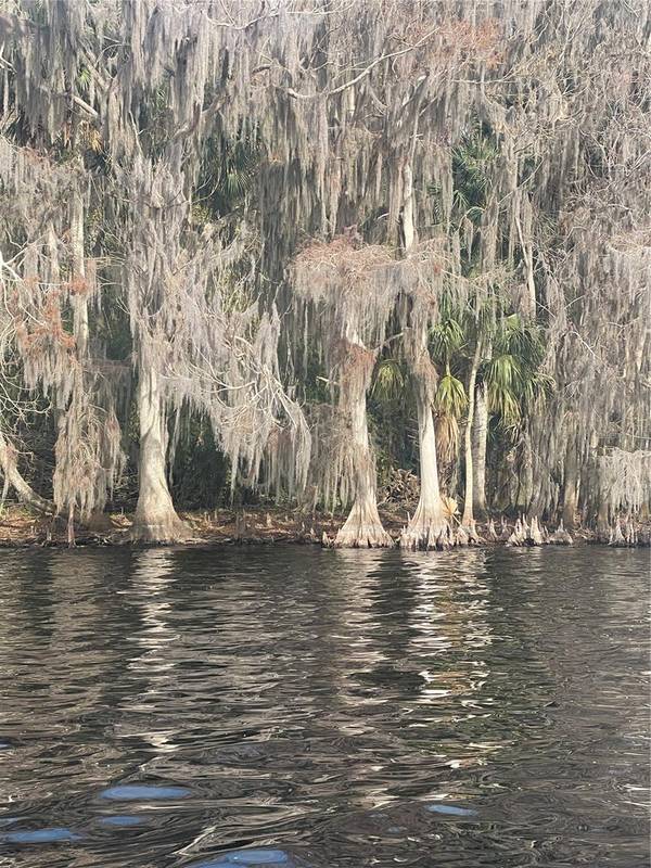 233 STELLA RD, Georgetown, FL 32139