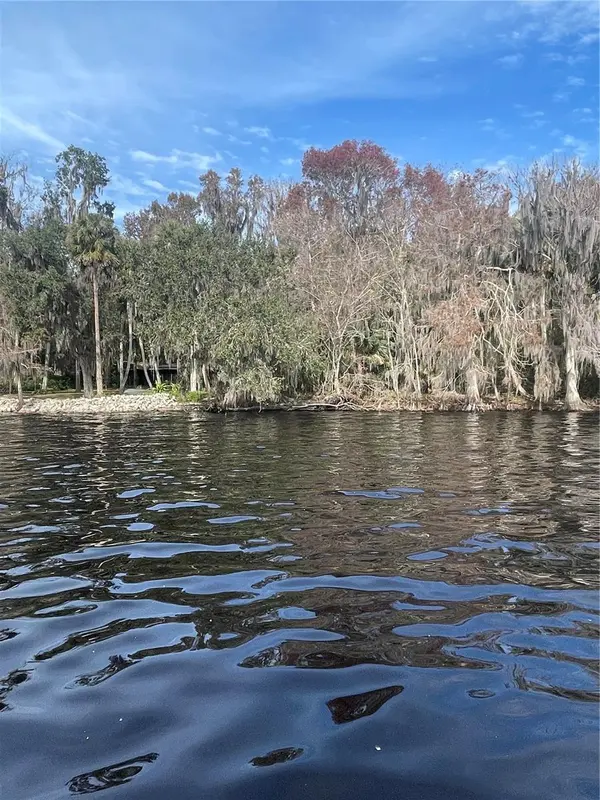 233 STELLA RD, Georgetown, FL 32139