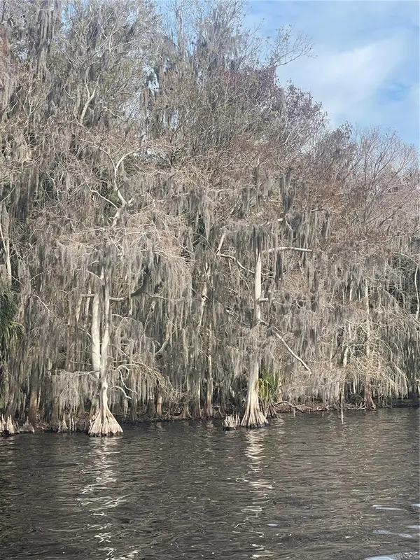 233 STELLA RD, Georgetown, FL 32139