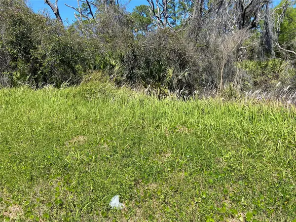 PARCEL 27 15 30 00 00 0160, De Leon Springs, FL 32130
