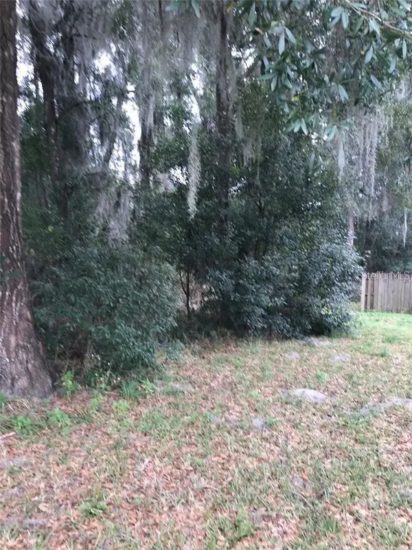 260 MERCERS FERNERY RD, Deland, FL 32720