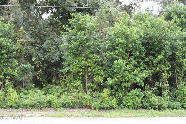 510 FRED GAMBLE WAY, Ormond Beach, FL 32174