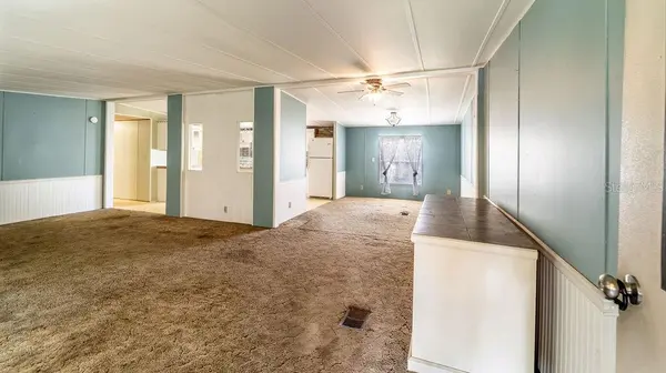 24031 ARMADILLO RD, Astor, FL 32102