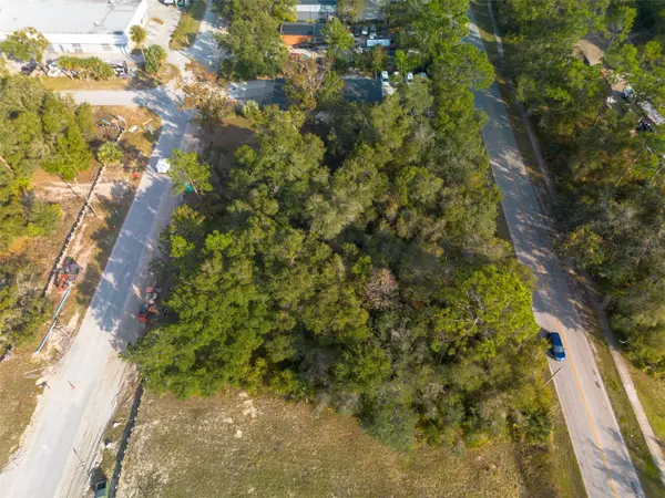 290 S INDUSTRIAL DR, Orange City, FL 32763