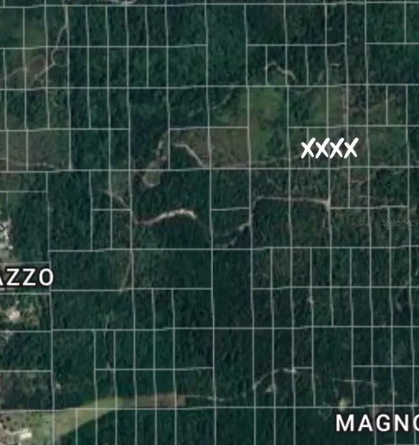 NO NAME, Deland, FL 32724