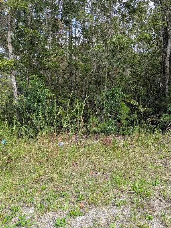 EAST Pkwy, Deland, FL 32724