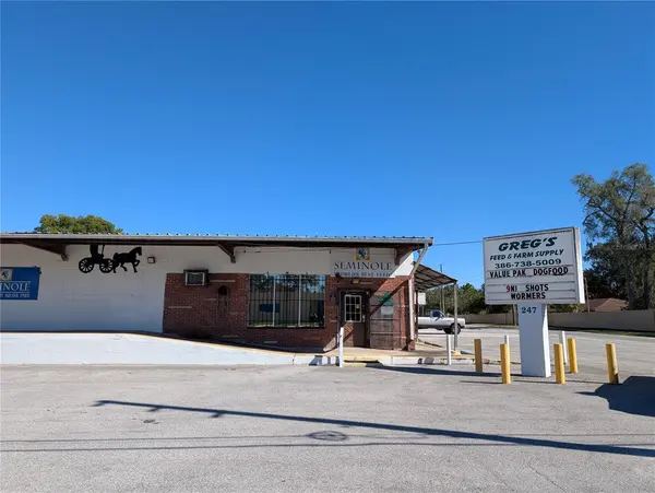 247 S AMELIA AVE, Deland, FL 32724