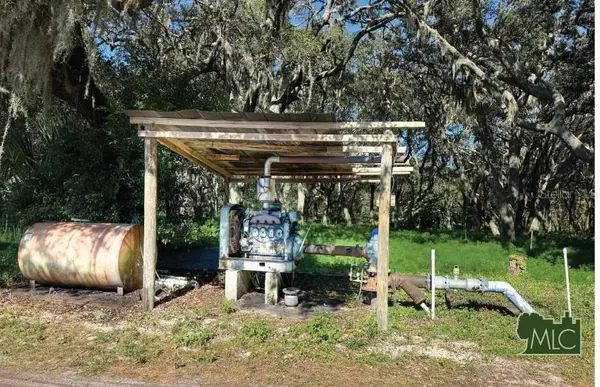 SHAW LAKE RD, Pierson, FL 32180