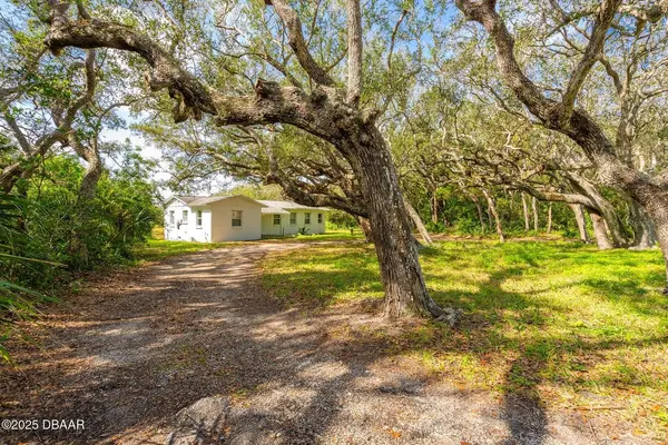 4770 S PENINSULA DR, Ponce Inlet, FL 32127