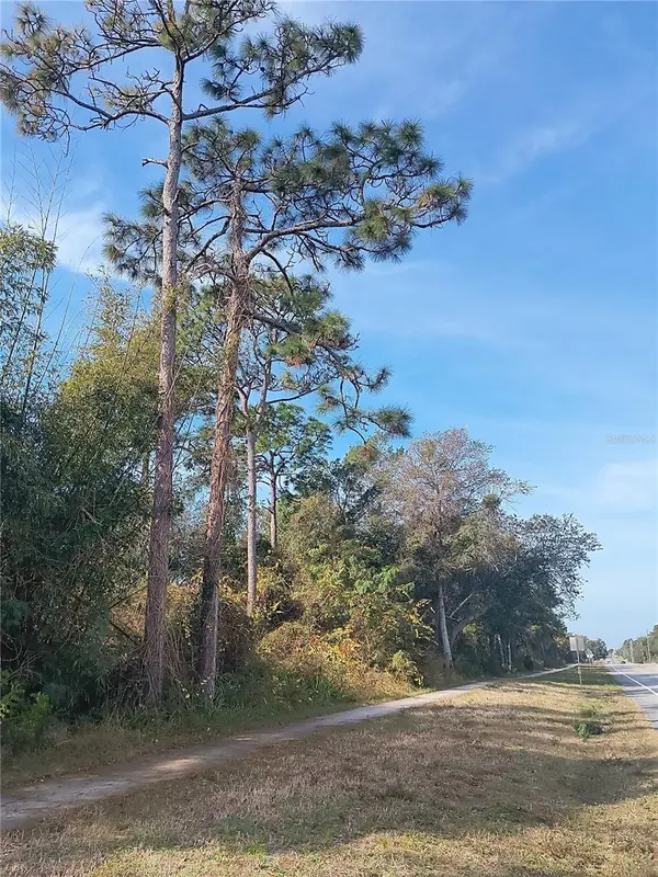 0 DOYLE RD, Deltona, FL 32738