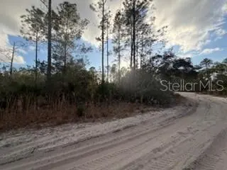 880 STILL RD, Pierson, FL 32180