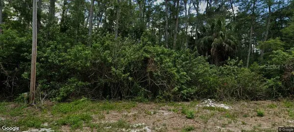 668 KNAPP ST, Lehigh Acres, FL 33974