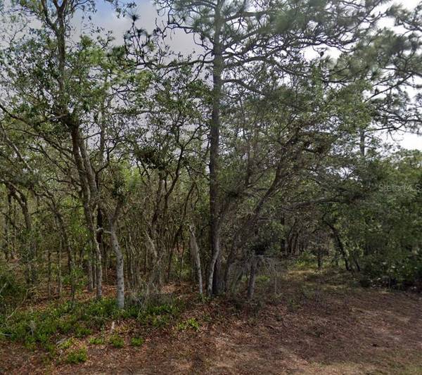 10 MILBARK DR, Homosassa, FL 34446