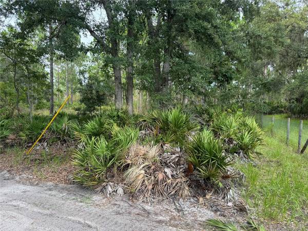 00 SW 103RD CT, Cedar Key, FL 32625