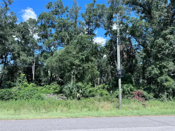 00 NW 90TH CT, Fanning Springs, FL 32693