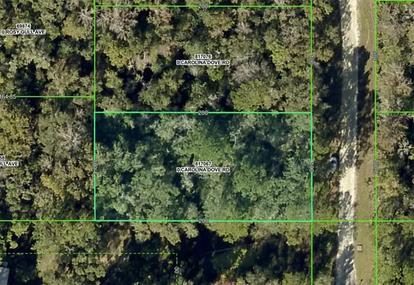 Lot 3 CAROLINA DOVE RD, Weeki Wachee, FL 34614