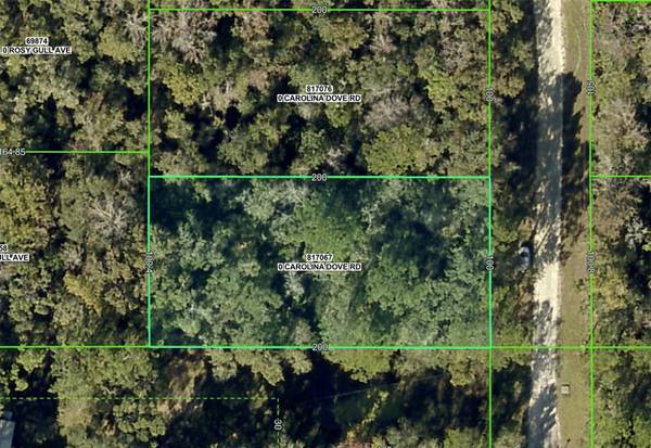 Lot 3 CAROLINA DOVE RD, Weeki Wachee, FL 34614