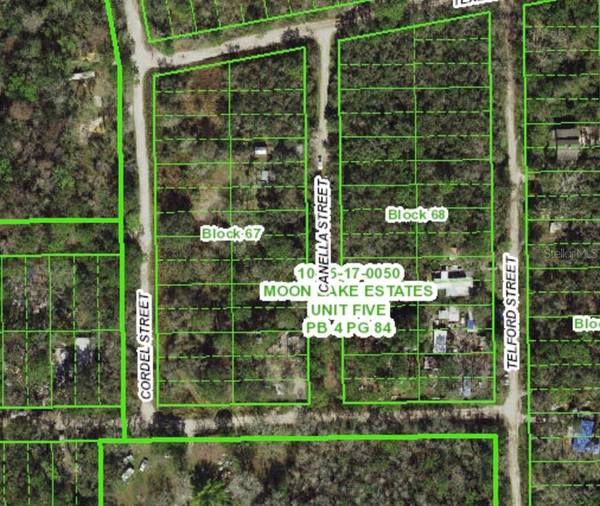 13023 CANELLA ST, New Port Richey, FL 34654