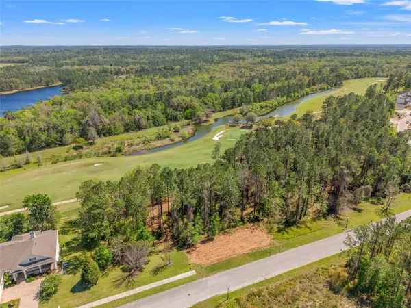 20044 ENGLISH WALNUT PL, Brooksville, FL 34601