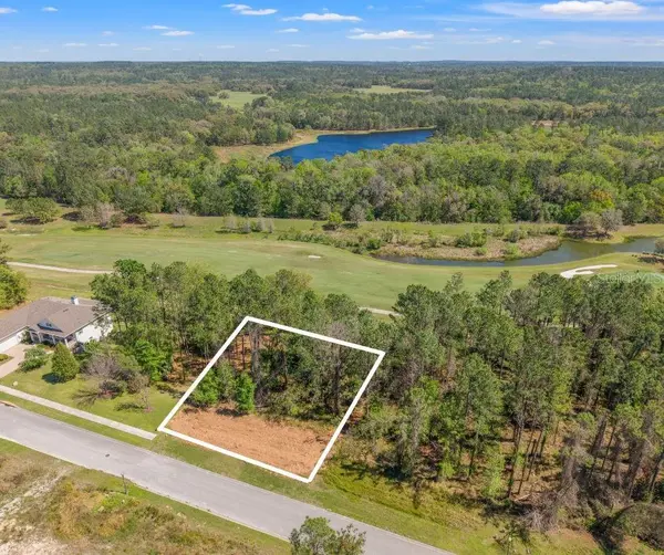 20044 ENGLISH WALNUT PL, Brooksville, FL 34601