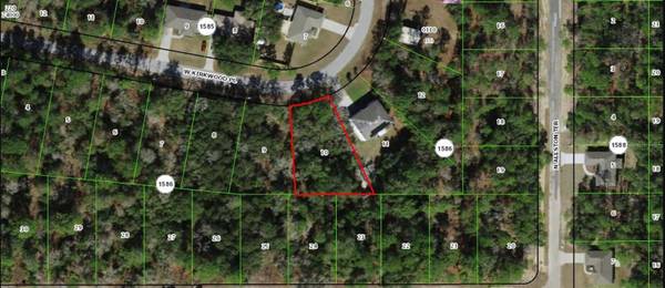3004 W KIRKWOOD PL, Dunnellon, FL 34433