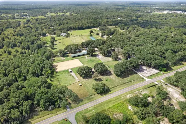 11046 KITTEN TRL, Hudson, FL 34669
