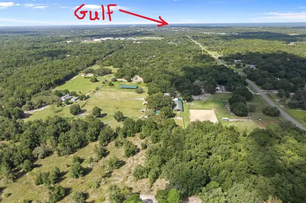 11046 KITTEN TRL, Hudson, FL 34669