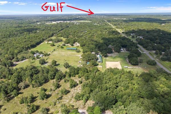 11046 KITTEN TRL, Hudson, FL 34669