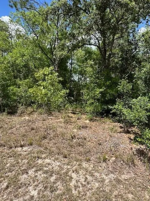2235 W SUMMER PL, Dunnellon, FL 34434