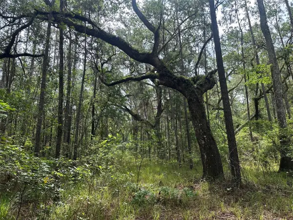 0 EMERSON RD, Brooksville, FL 34601